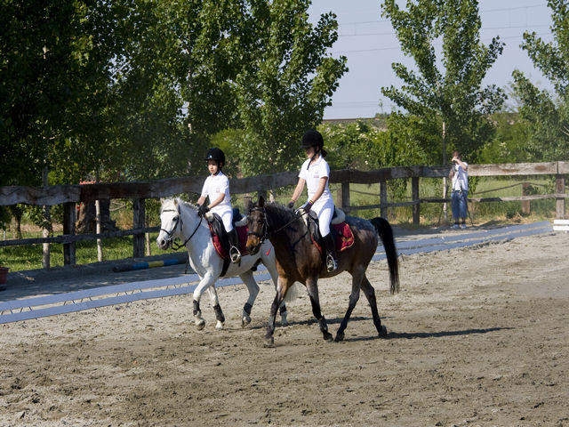 Escuela de Adiestramiento para Niños 